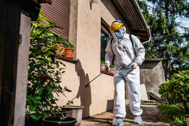 Best Emergency Pest Control  in St Charles, MO