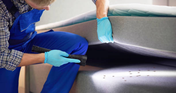 Best Local Pest Control Services  in St Charles, MO