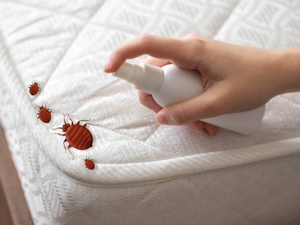 Best Pest Control Treatment  in St Charles, MO