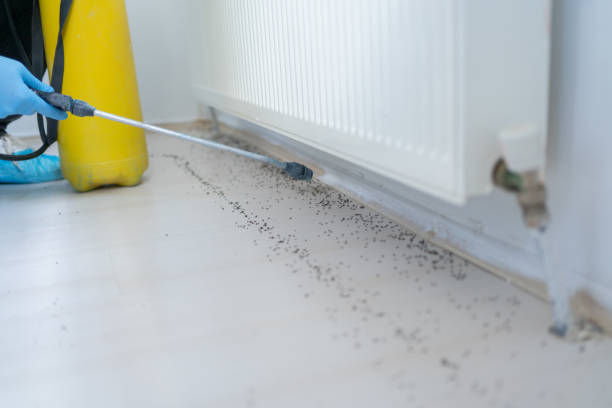 Best Pest Prevention Services  in St Charles, MO