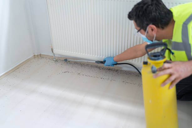 Pest Control Cost in St Charles, MO